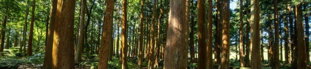 health partners main